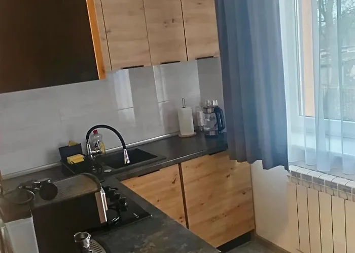 2 , Kuchnia, Cale Wyposazenie, Centrum, Kolo Sklepu, Free Wifi Apartment Krotoszyn